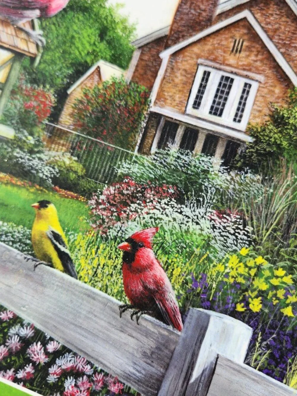 Feathers and Flowers 1000 Piece Jigsaw Puzzle Kevin Daniel Wild Birds Puzzle wit